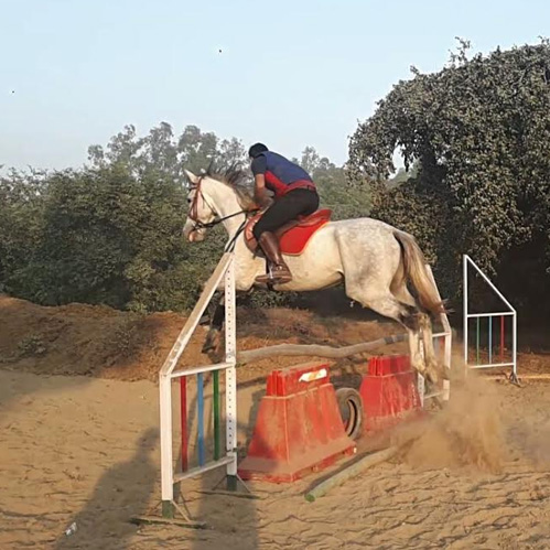 Horse Riding Level 1 || Savani Group